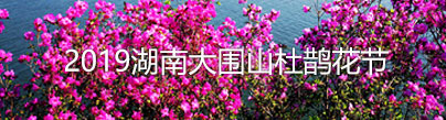 2019湖南大圍山杜鵲花節